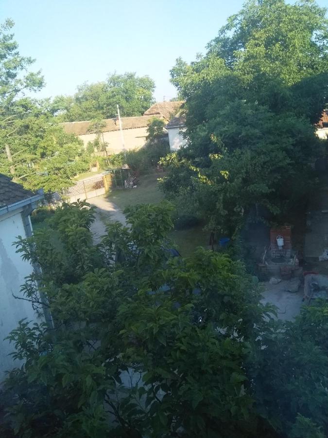 Family Apartman Ana - Star ゴルバッツ エクステリア 写真